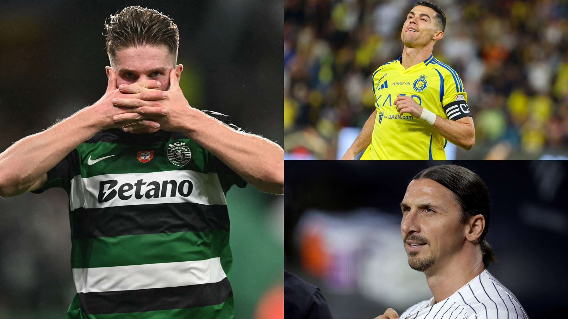 正的沉浸式 正的沉浸式